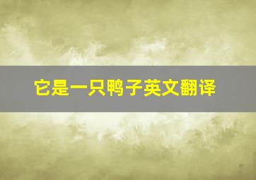 它是一只鸭子英文翻译