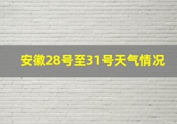 安徽28号至31号天气情况