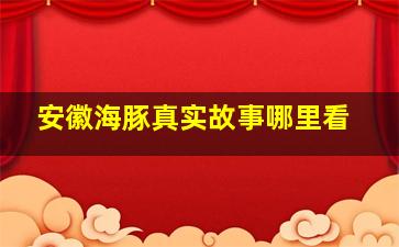 安徽海豚真实故事哪里看