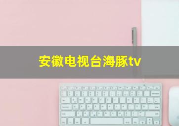 安徽电视台海豚tv