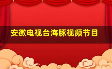 安徽电视台海豚视频节目