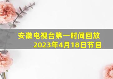 安徽电视台第一时间回放2023年4月18日节目