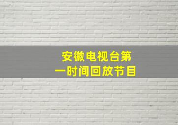 安徽电视台第一时间回放节目