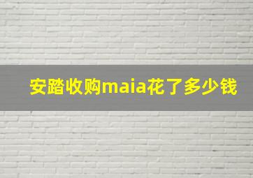 安踏收购maia花了多少钱