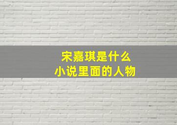 宋嘉琪是什么小说里面的人物