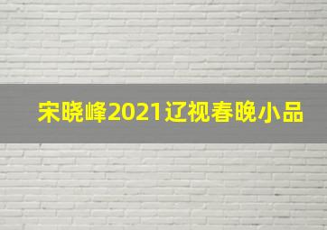 宋晓峰2021辽视春晚小品