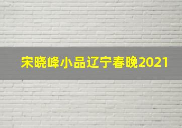 宋晓峰小品辽宁春晚2021