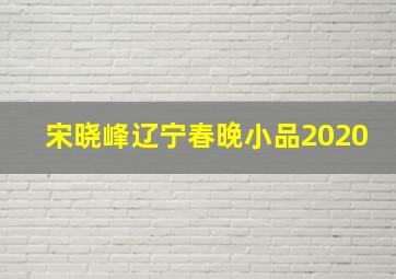 宋晓峰辽宁春晚小品2020