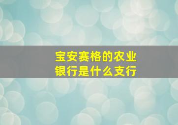 宝安赛格的农业银行是什么支行