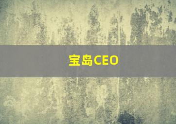 宝岛CEO