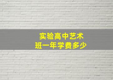 实验高中艺术班一年学费多少