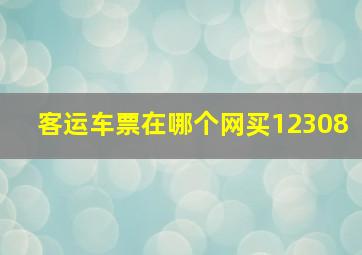 客运车票在哪个网买12308