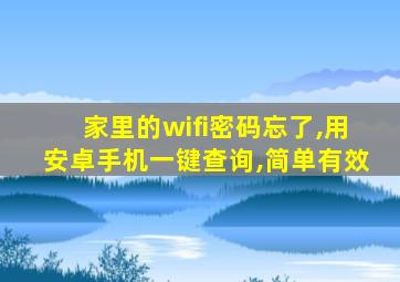 家里的wifi密码忘了,用安卓手机一键查询,简单有效