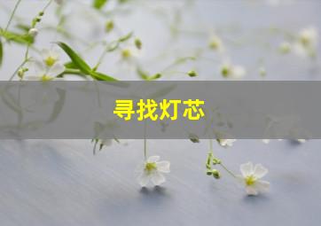 寻找灯芯