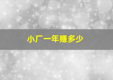 小厂一年赚多少