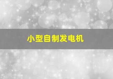 小型自制发电机