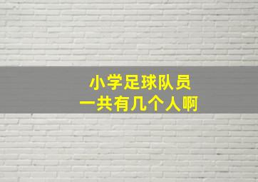 小学足球队员一共有几个人啊