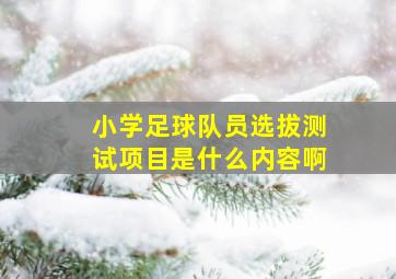 小学足球队员选拔测试项目是什么内容啊