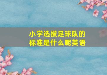 小学选拔足球队的标准是什么呢英语