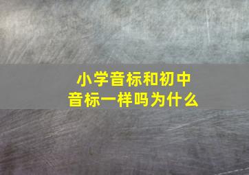 小学音标和初中音标一样吗为什么