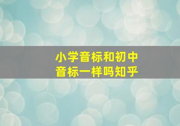 小学音标和初中音标一样吗知乎