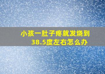 小孩一肚子疼就发烧到38.5度左右怎么办