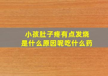 小孩肚子疼有点发烧是什么原因呢吃什么药