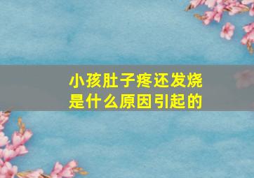 小孩肚子疼还发烧是什么原因引起的