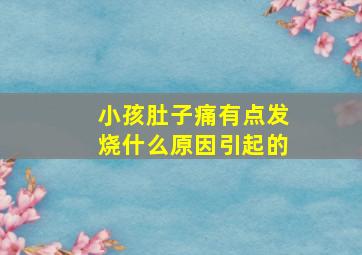 小孩肚子痛有点发烧什么原因引起的