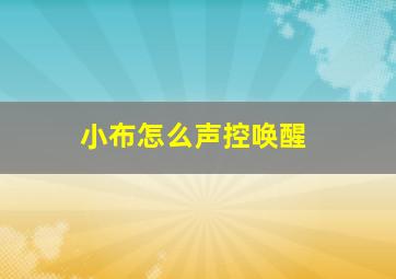 小布怎么声控唤醒