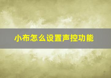 小布怎么设置声控功能