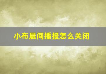 小布晨间播报怎么关闭