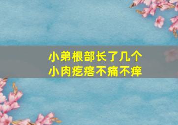 小弟根部长了几个小肉疙瘩不痛不痒