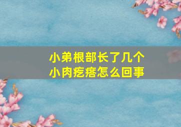 小弟根部长了几个小肉疙瘩怎么回事