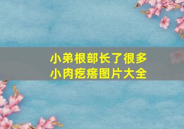 小弟根部长了很多小肉疙瘩图片大全