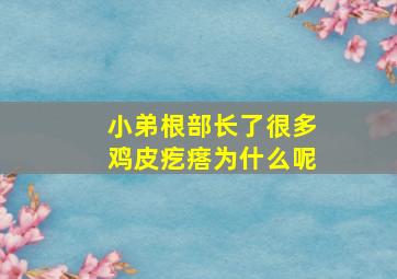 小弟根部长了很多鸡皮疙瘩为什么呢