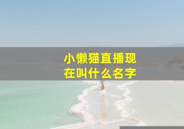 小懒猫直播现在叫什么名字