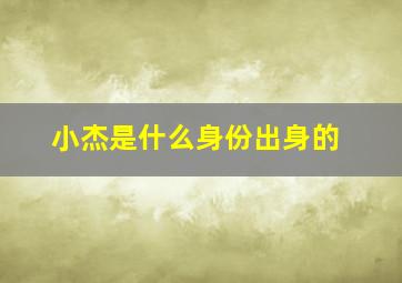 小杰是什么身份出身的