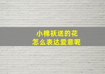 小棉袄送的花怎么表达爱意呢