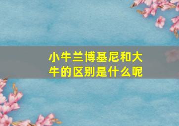 小牛兰博基尼和大牛的区别是什么呢