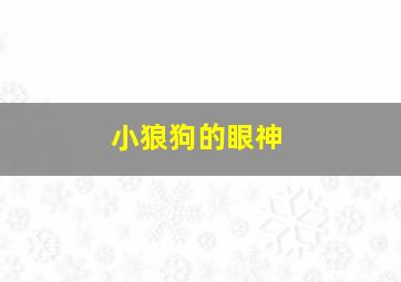 小狼狗的眼神