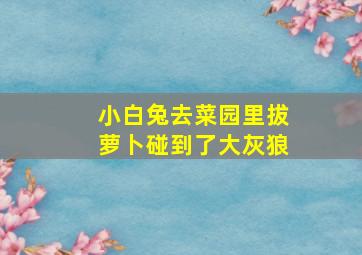 小白兔去菜园里拔萝卜碰到了大灰狼