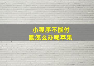 小程序不能付款怎么办呢苹果