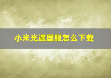 小米光遇国服怎么下载