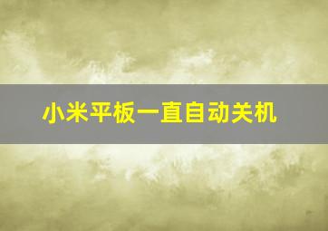 小米平板一直自动关机