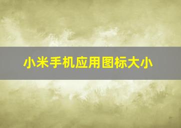 小米手机应用图标大小