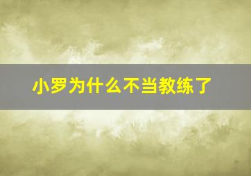 小罗为什么不当教练了