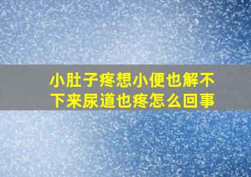 小肚子疼想小便也解不下来尿道也疼怎么回事