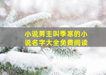 小说男主叫季寒的小说名字大全免费阅读