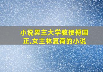 小说男主大学教授傅国正,女主林夏荷的小说